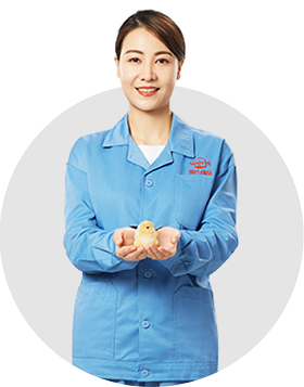 ������ʱ��(�й���)�������ǲ�!